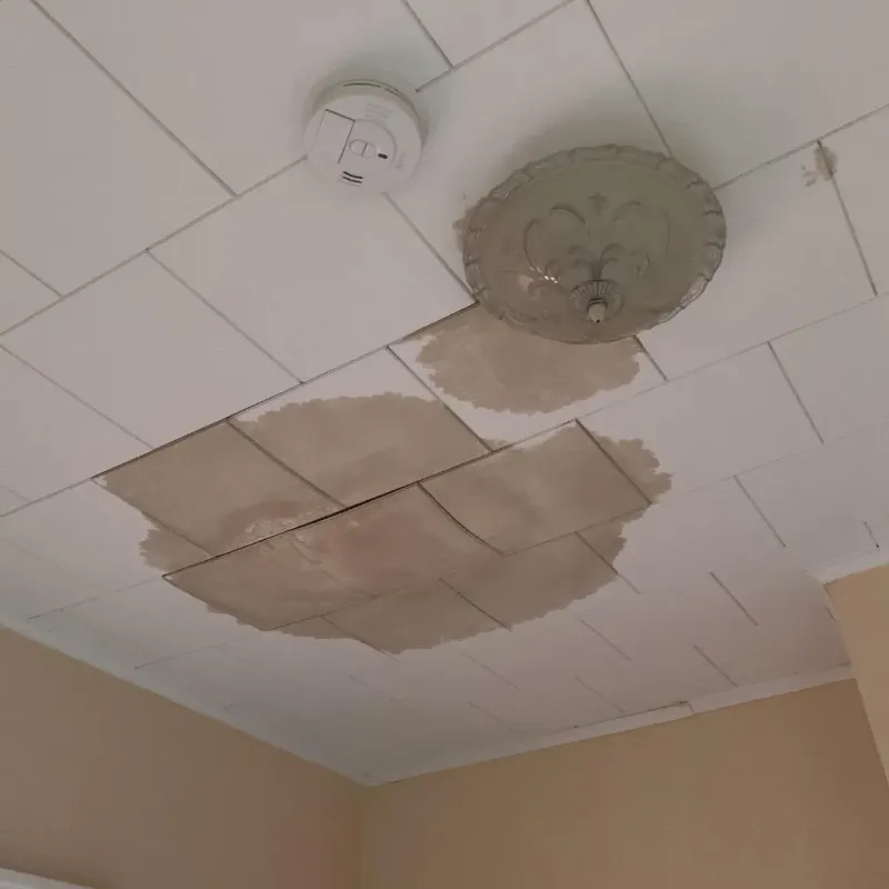 Ceiling Water Damage Repair in Prestonsburg, KY