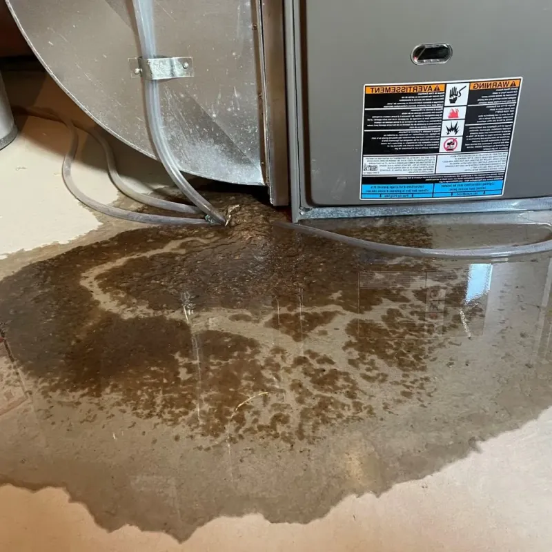 Pipe Burst and Leak Restoration in Prestonsburg, KY