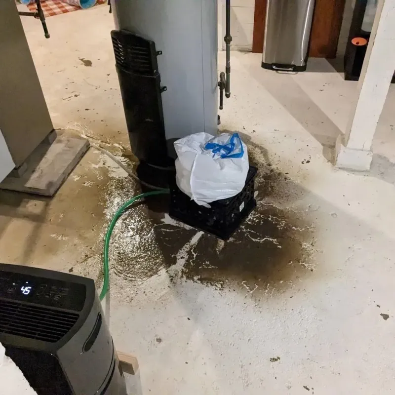 Sewage Backup Cleanup Service in Prestonsburg, KY